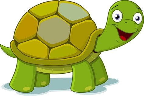 tortise clipart